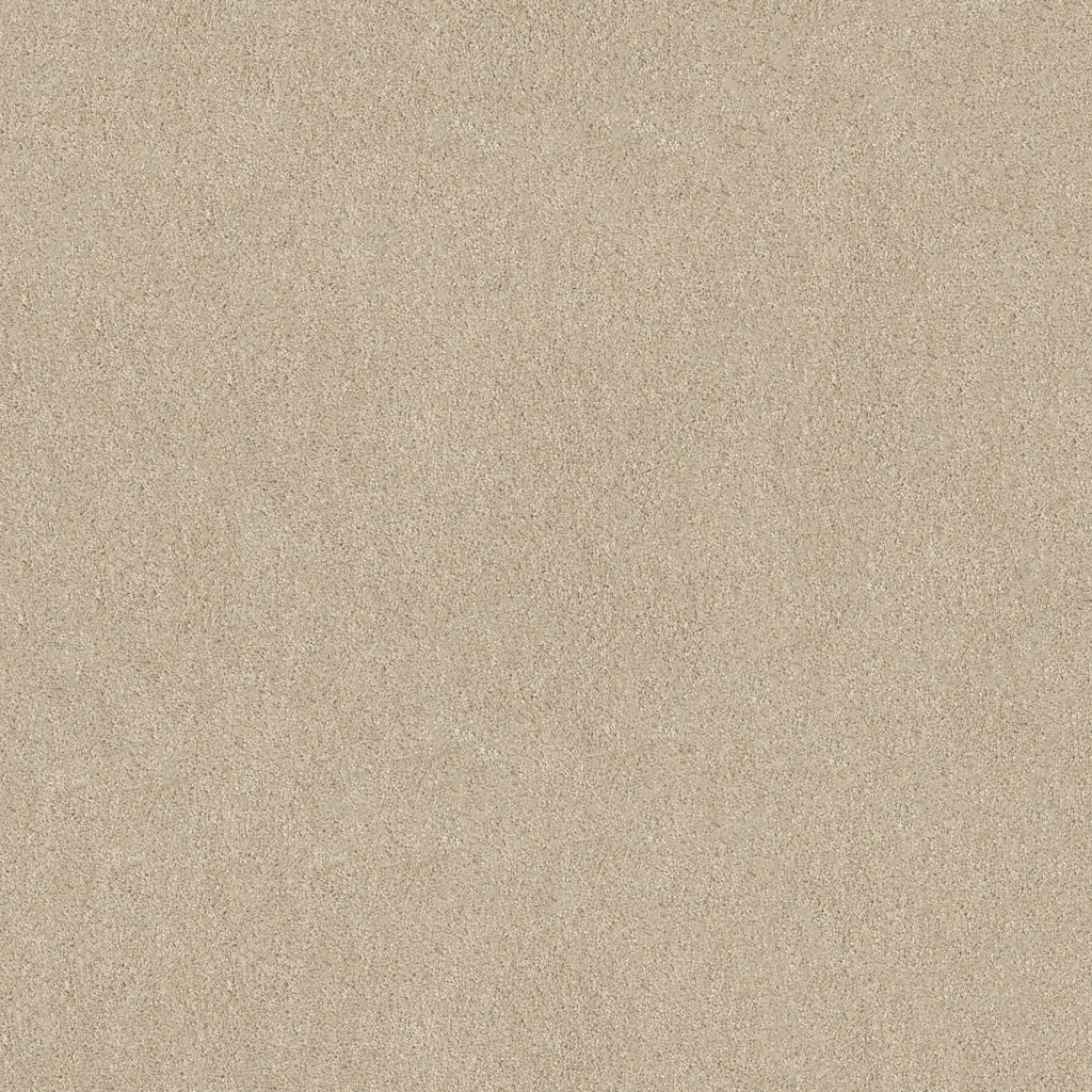 Origins - Canvas