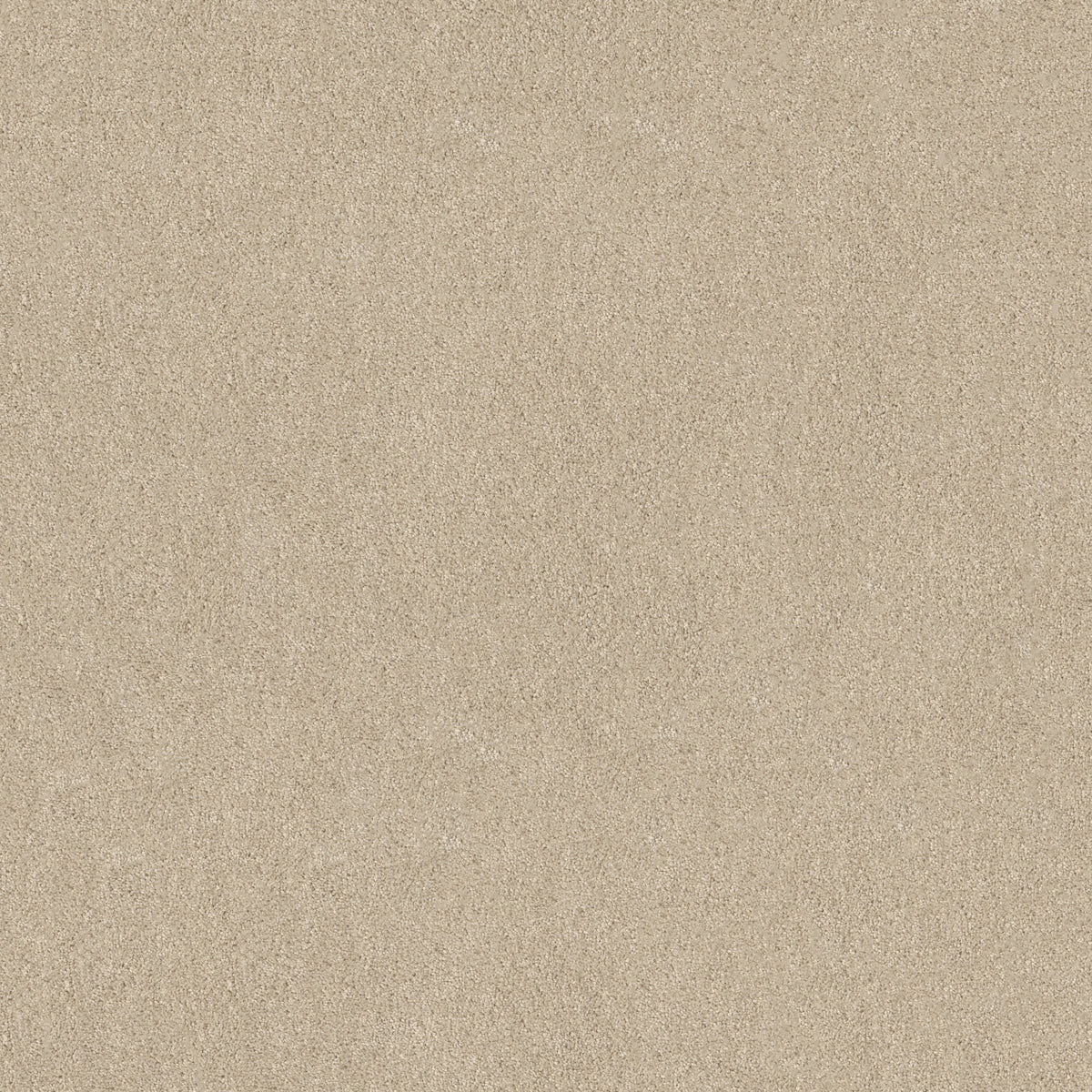 Origins - Canvas