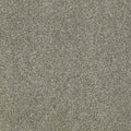 Silver Sage