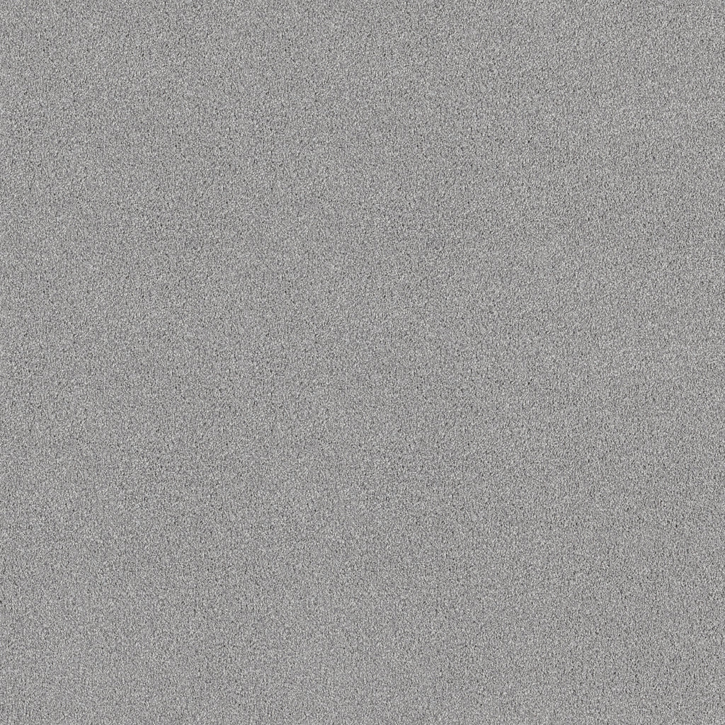 Pure Comfort I - Polished Silver