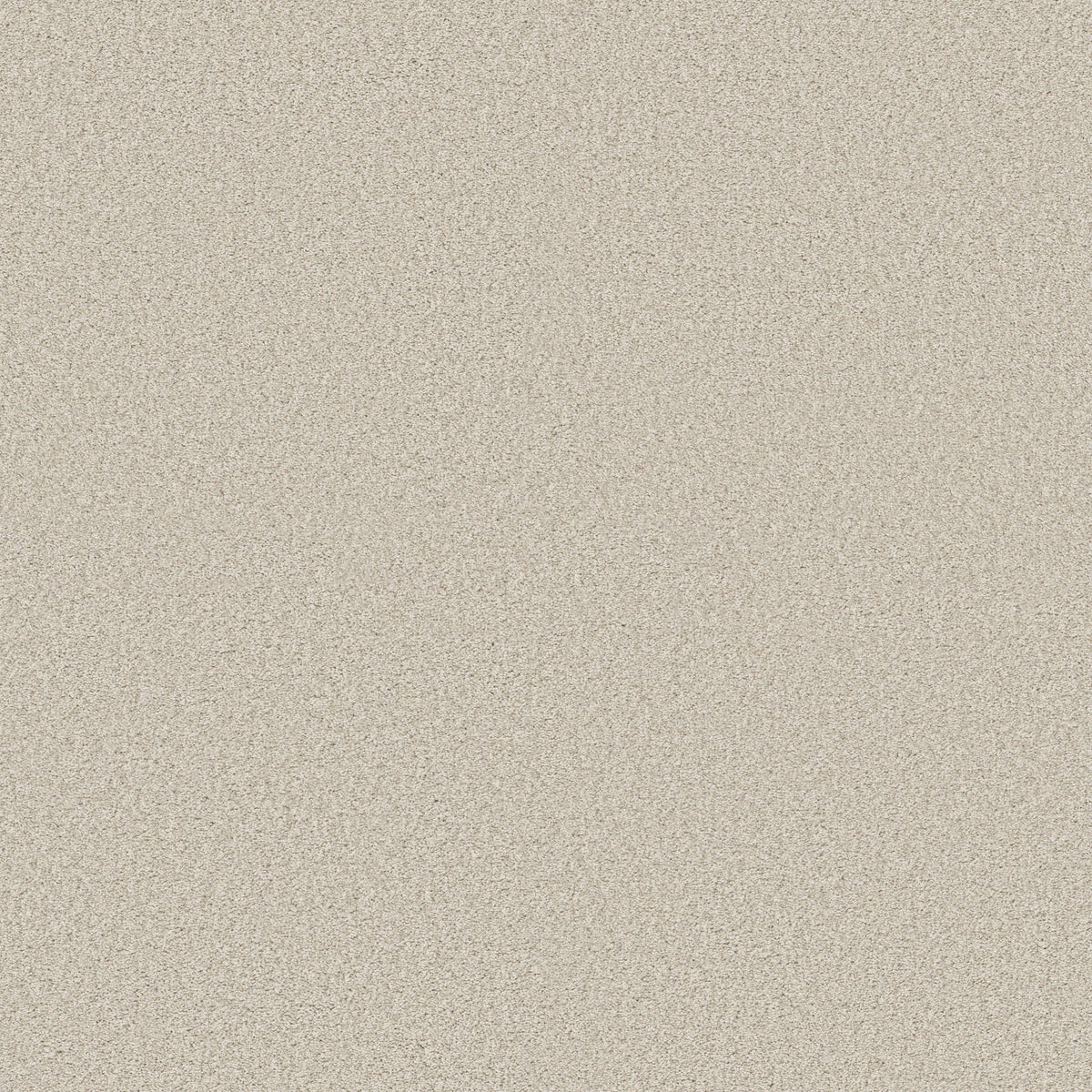 Pure Comfort II - Champagne Toast