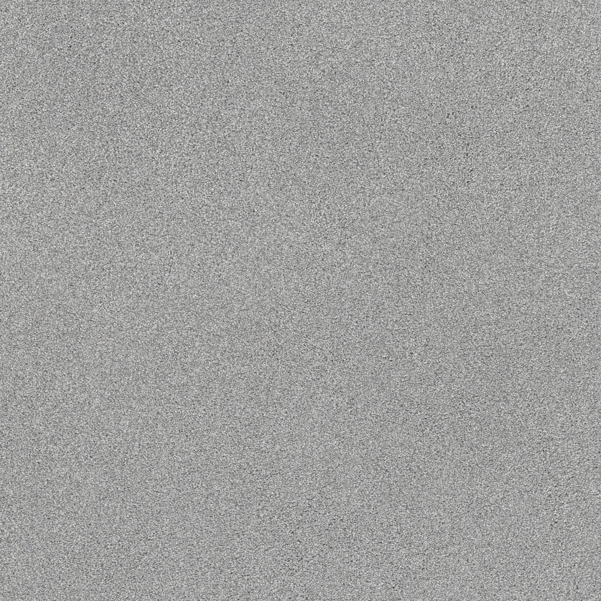 Comforting II - Foil