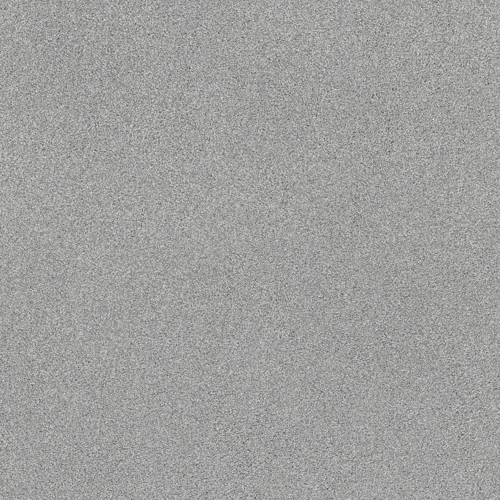 Pure Comfort II - Polished Silver