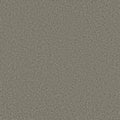 Pewter