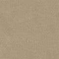 French Canvas