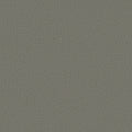 Mindful Gray
