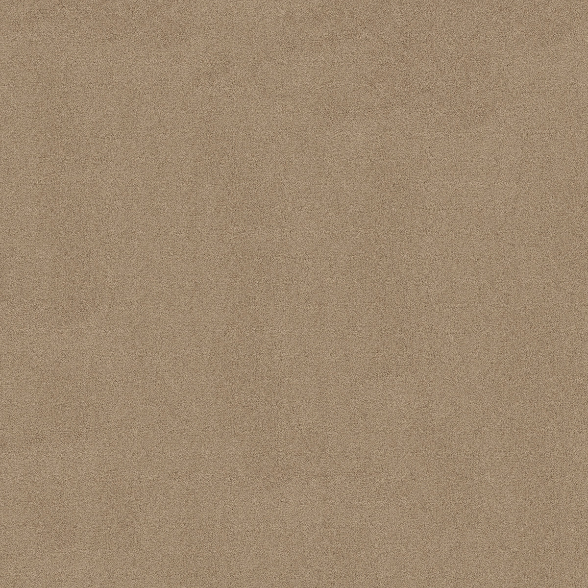 Las Cruces - Khaki Tan