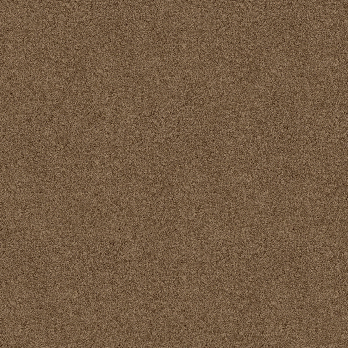 Something Sweet - Brushed Suede