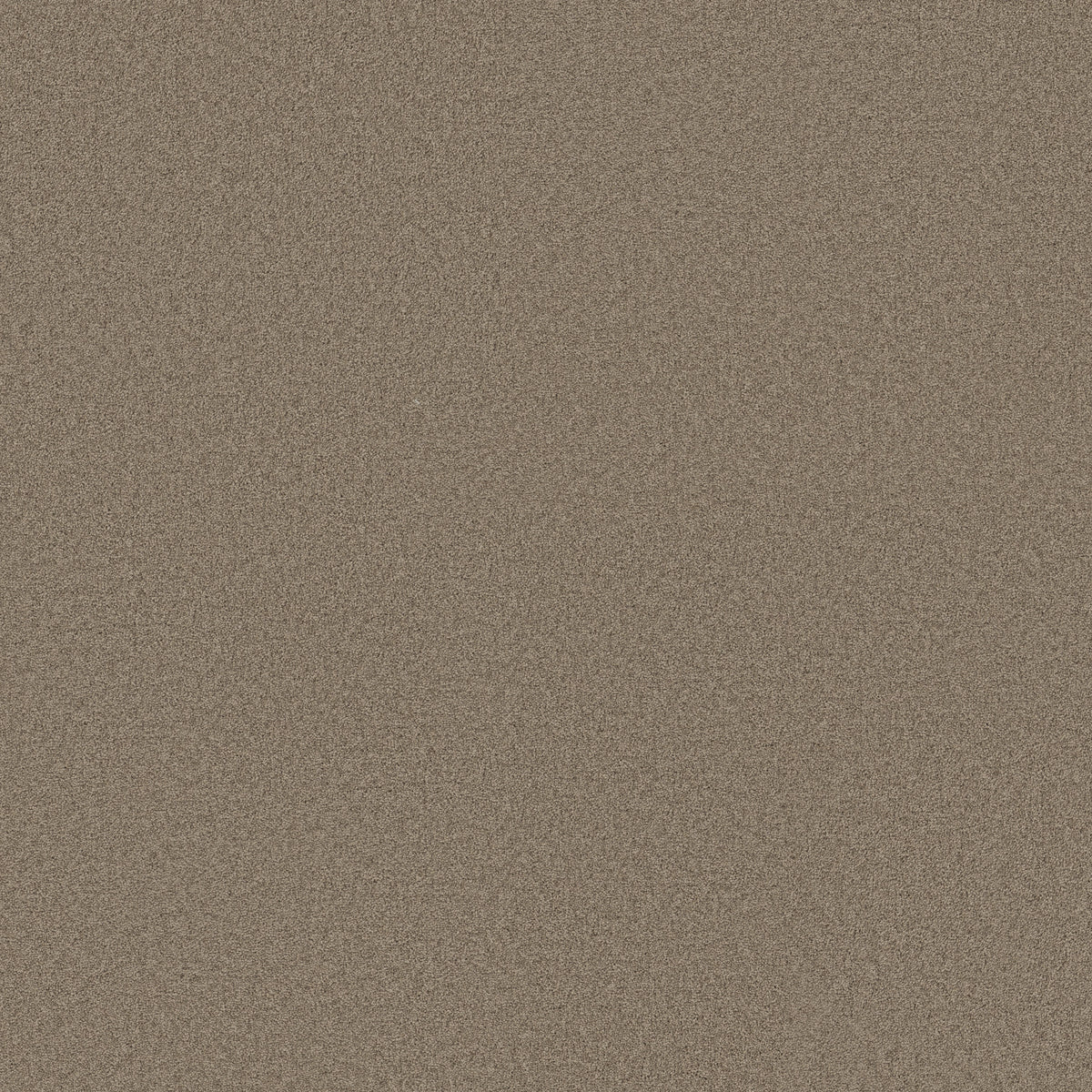 Something Sweet - Barn Wood