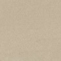 Ivory Tint