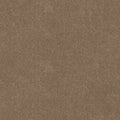 Taupe Mist