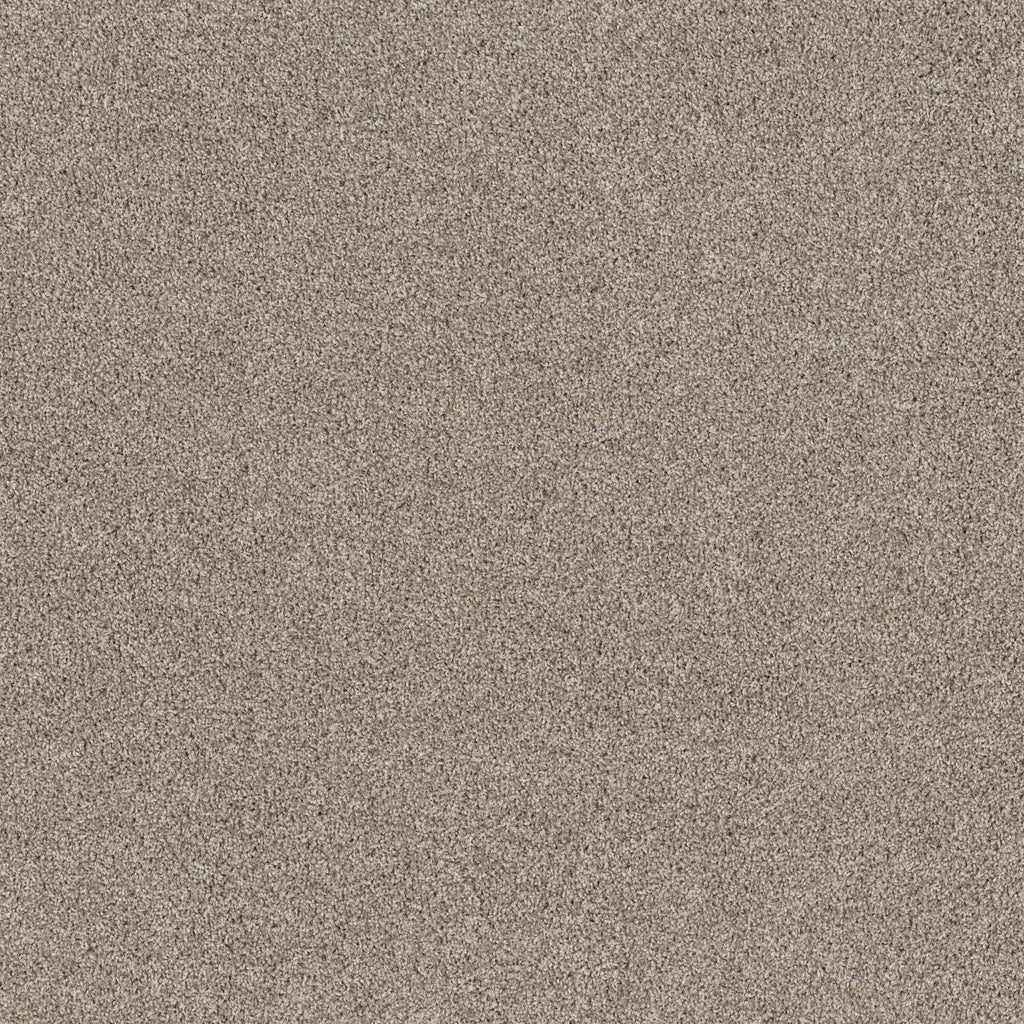 Soft Effervescence - Daytona Sand