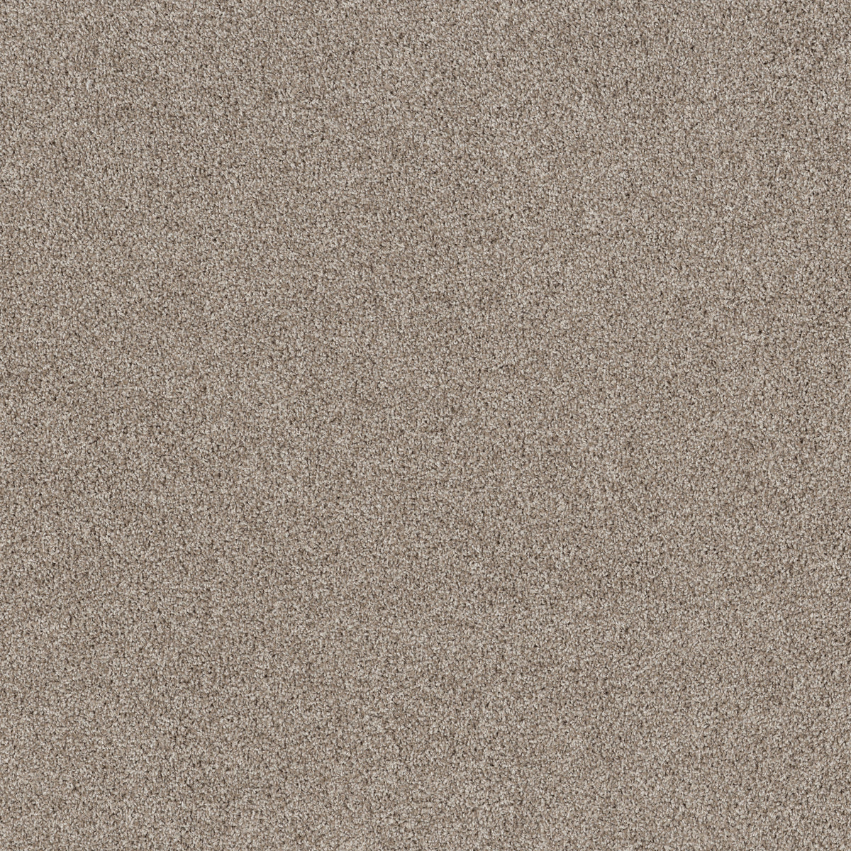Soft Effervescence - Daytona Sand