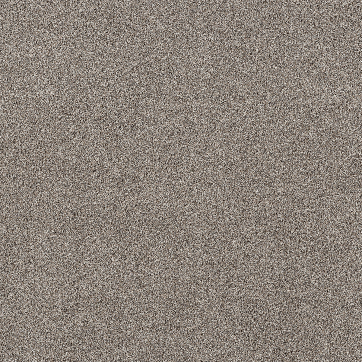 Soft Effervescence - Mushroom