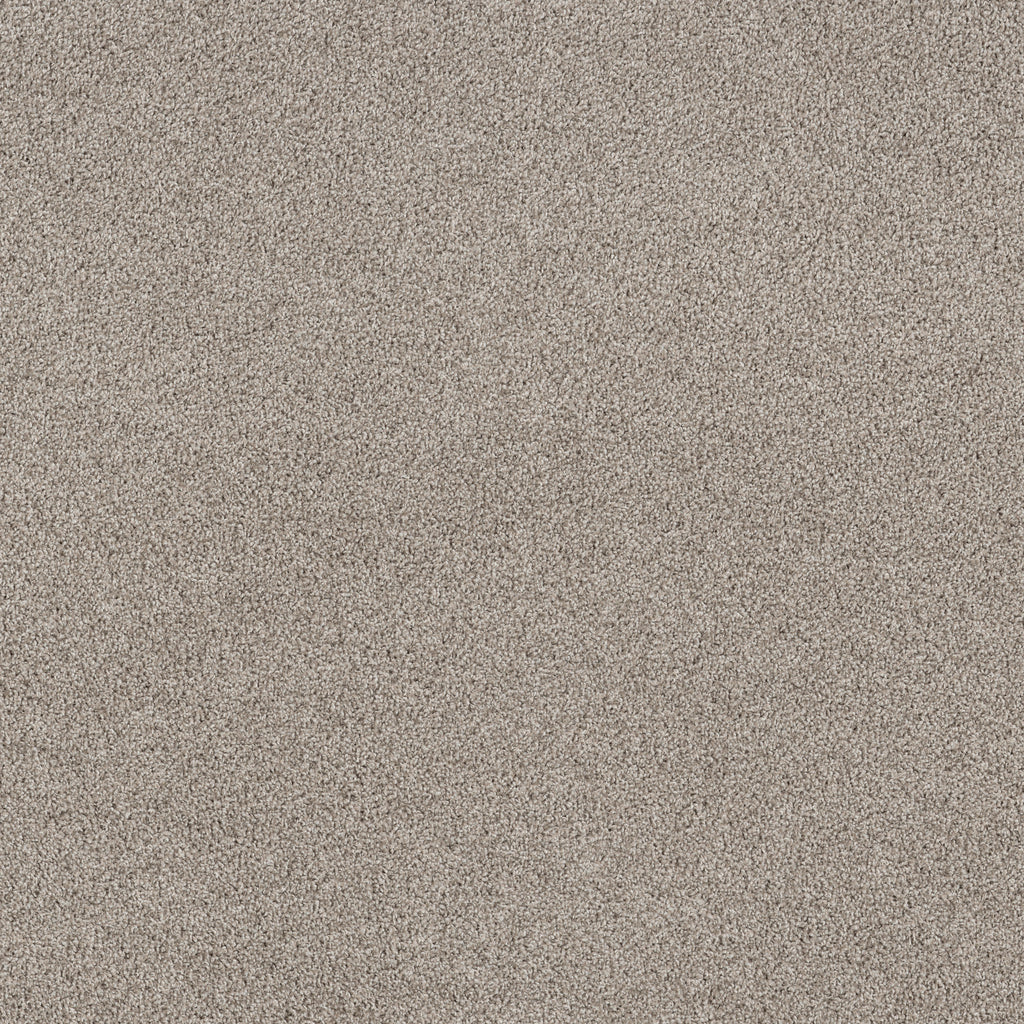 Soft Effervescence - Dawn Beige