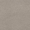 Dawn Beige