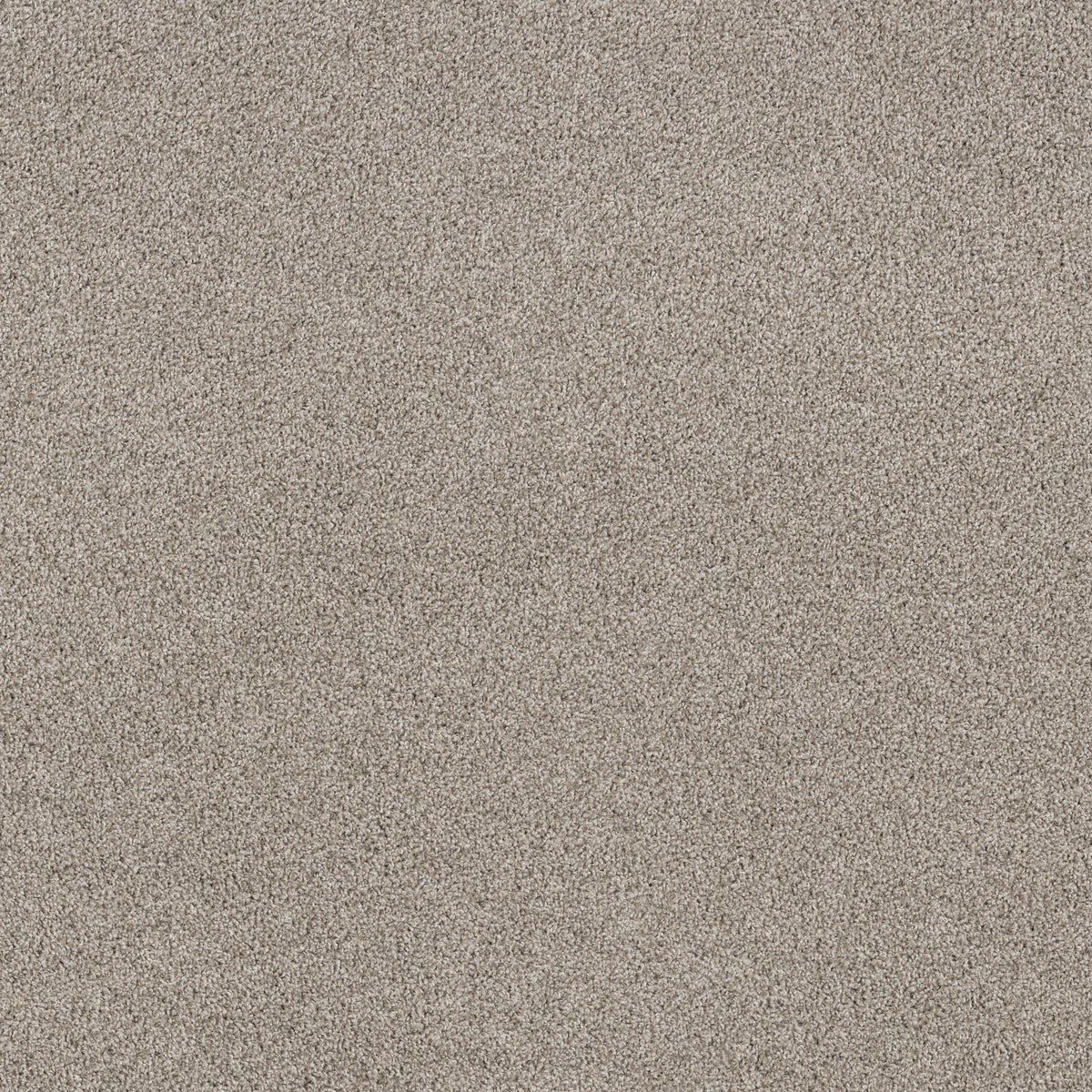 Soft Effervescence - Dawn Beige