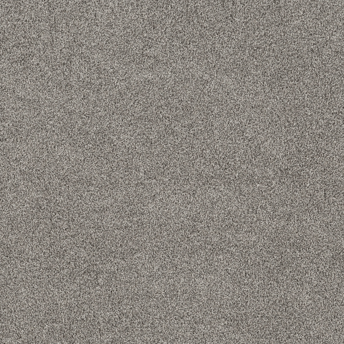 Soft Effervescence - London Fog