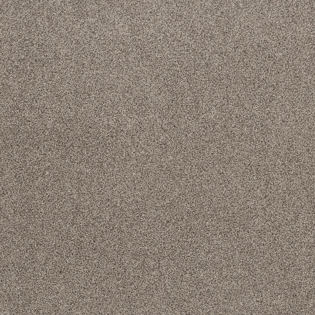 Soft Effervescence - Overcast