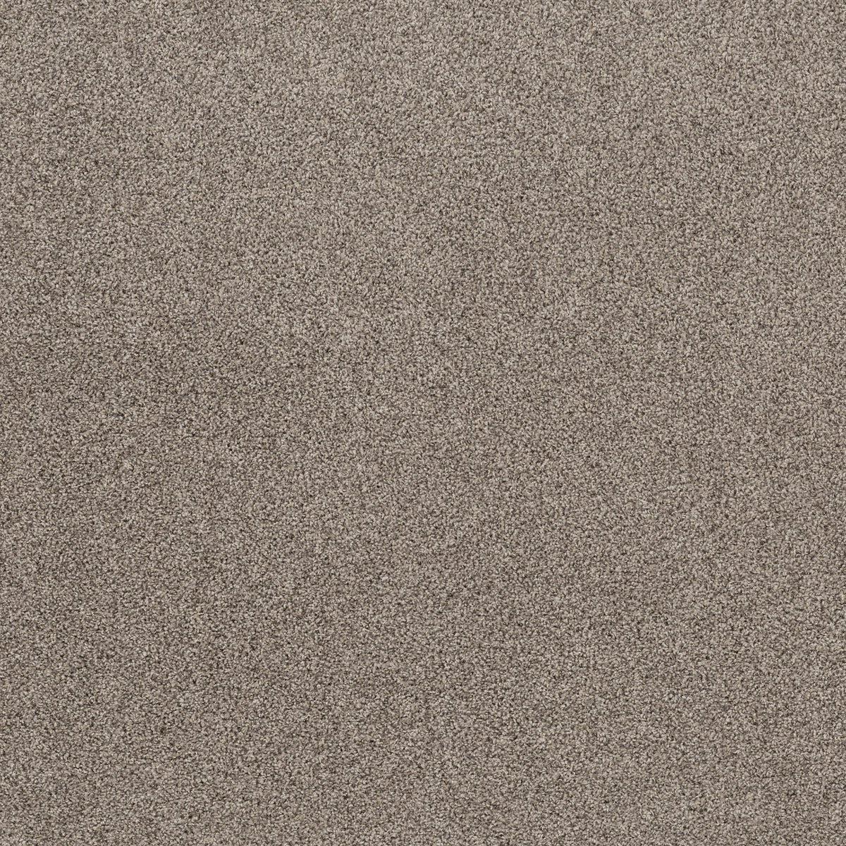 Soft Effervescence - Overcast