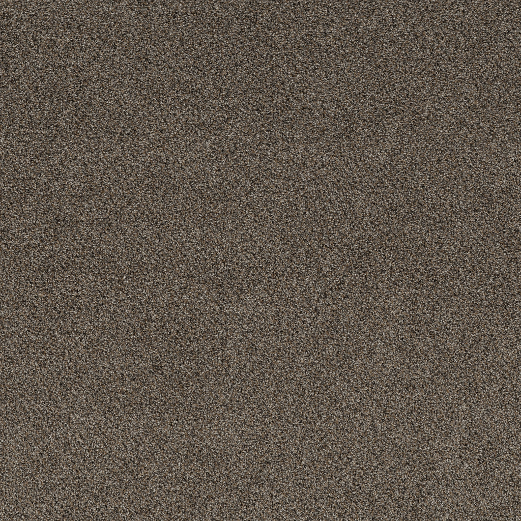 Soft Effervescence - Tree Bark