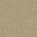 Desert Sand