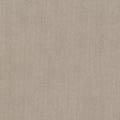 Studio Taupe