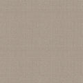 Studio Taupe