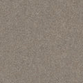 Smooth Taupe