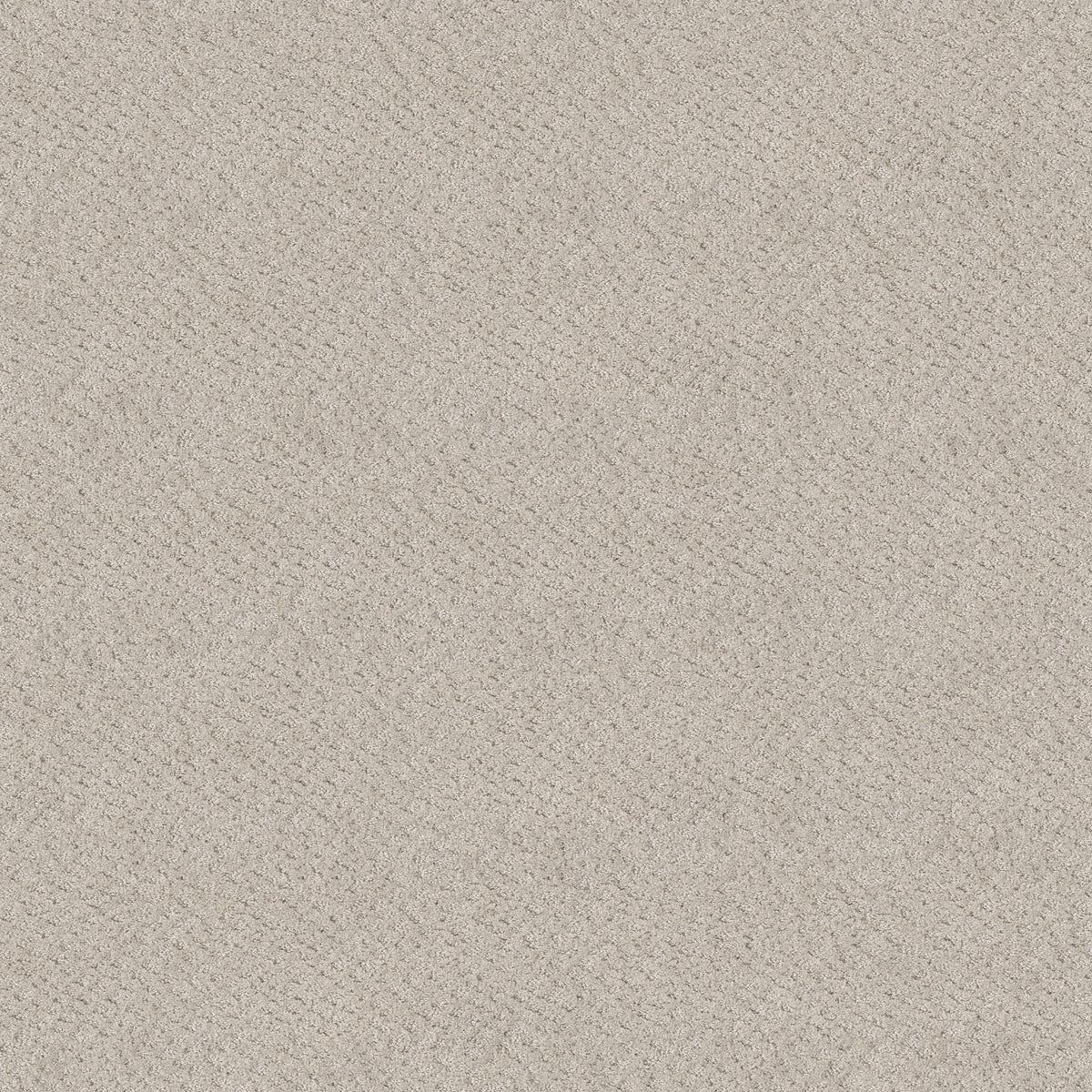 Chic Shades - Serene Still