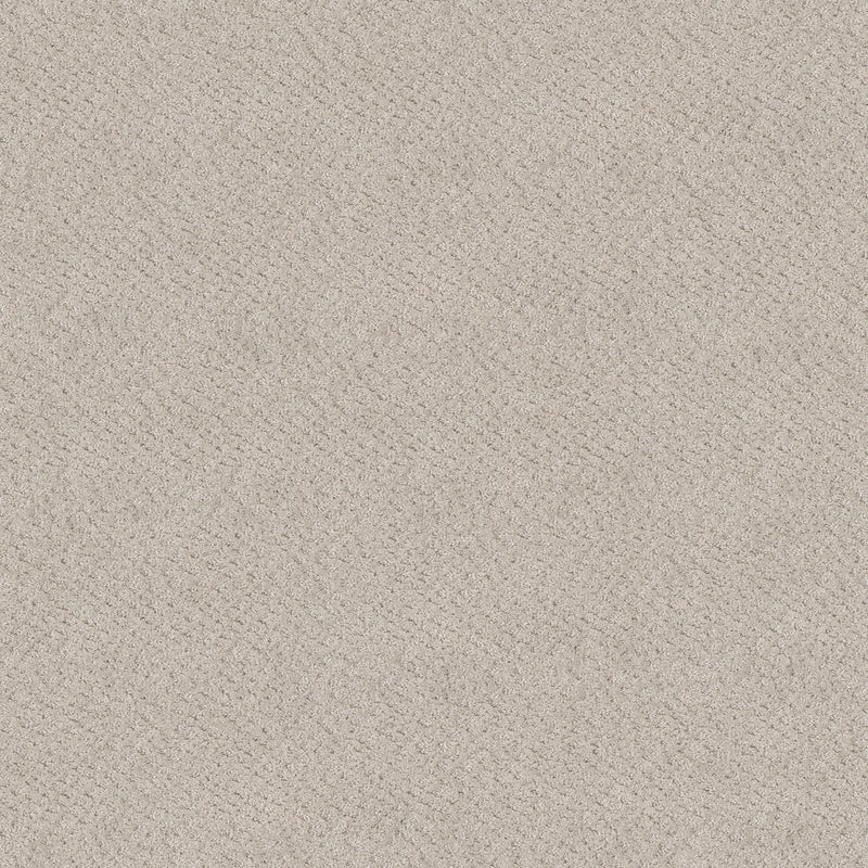 Chic Shades - Serene Still