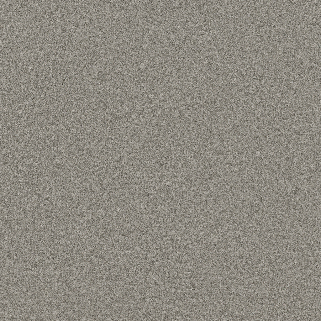 Harmonious I - Grey Fox