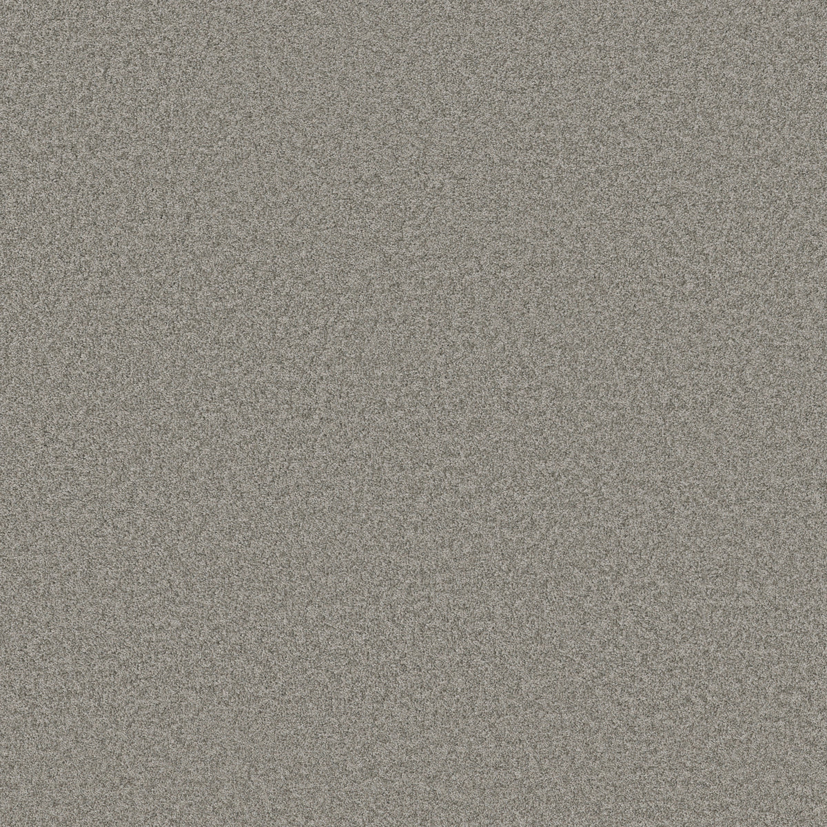 Harmonious I - Grey Fox