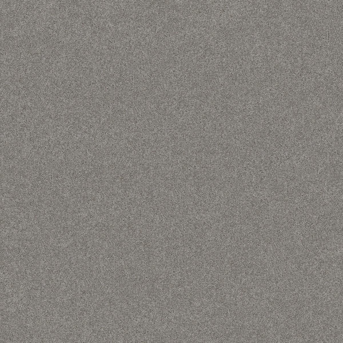 Harmonious II - Grey Fox