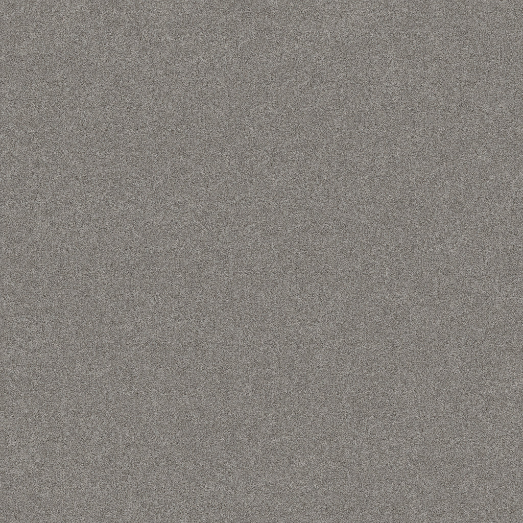 Del Rio I - Grey Fox