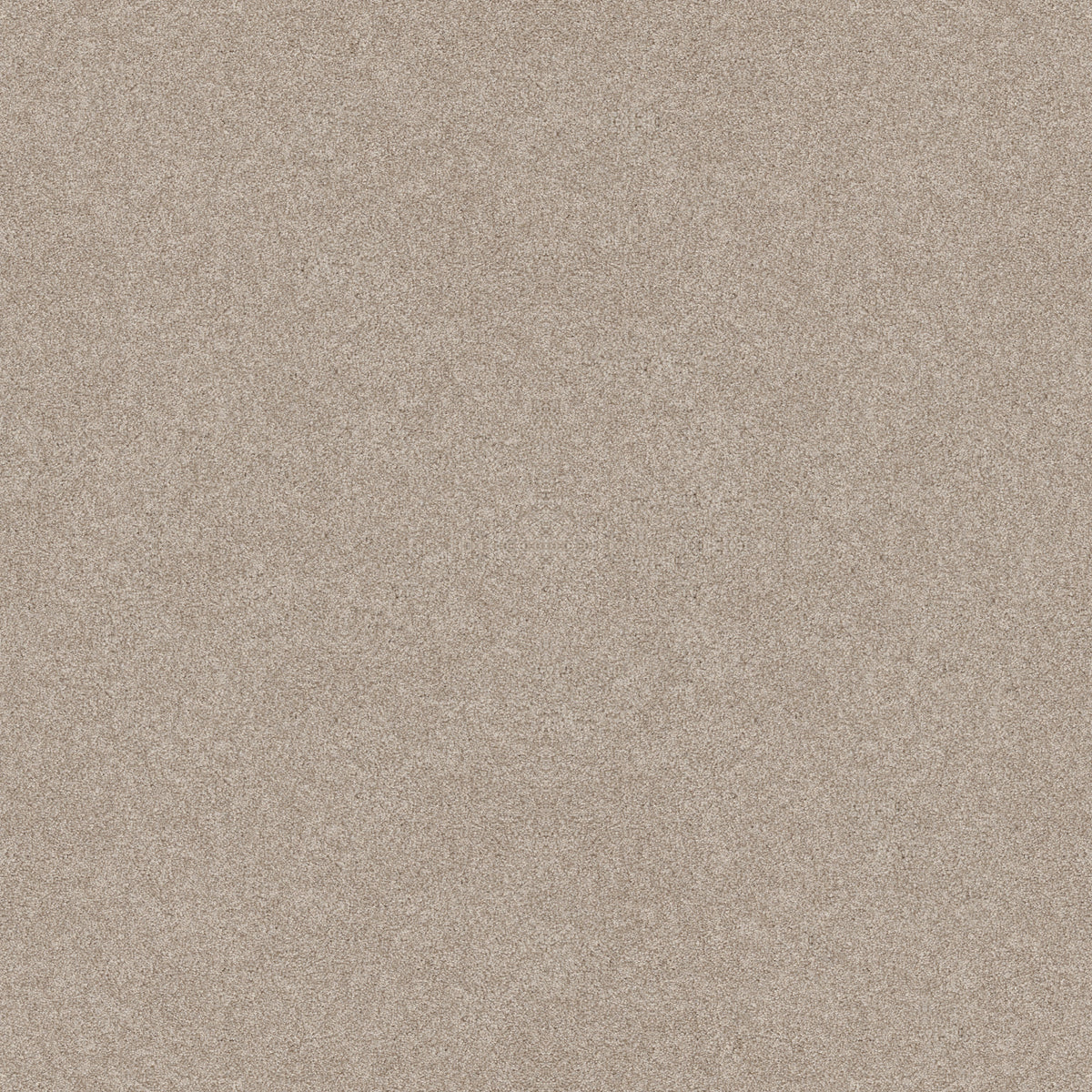 Harmonious II - Sandstone
