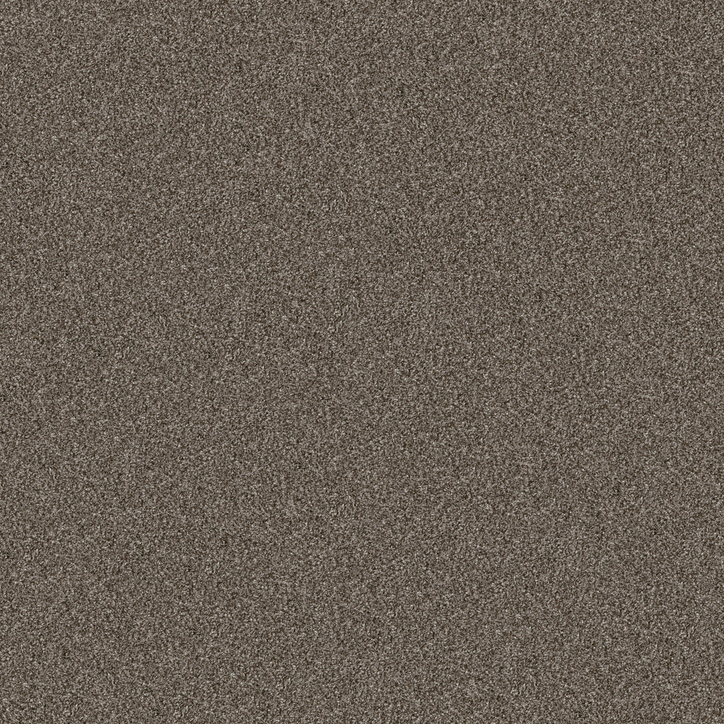 Yes You Can I 12' - Urban Rustic