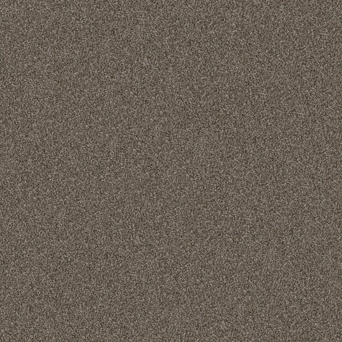 Yes You Can I 12' - Urban Rustic