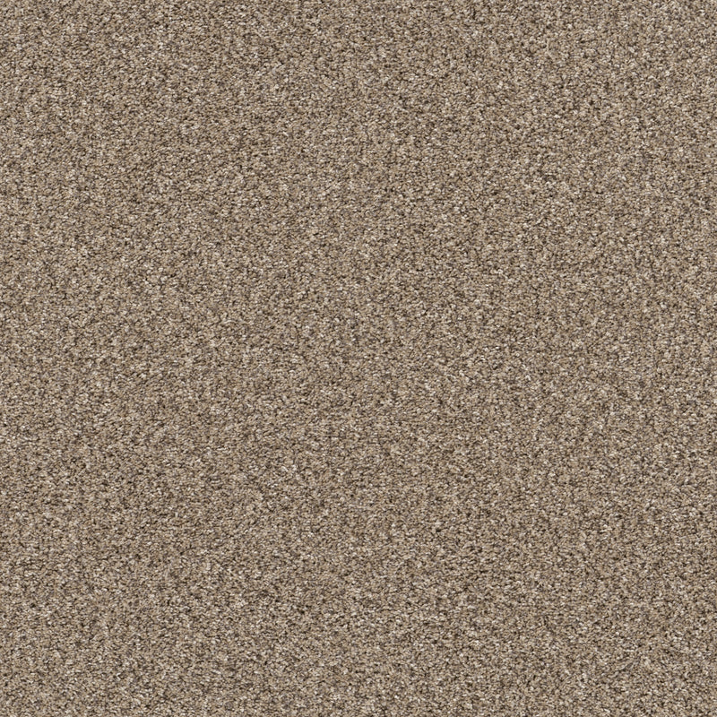Yes You Can III 12' - Sea Shell