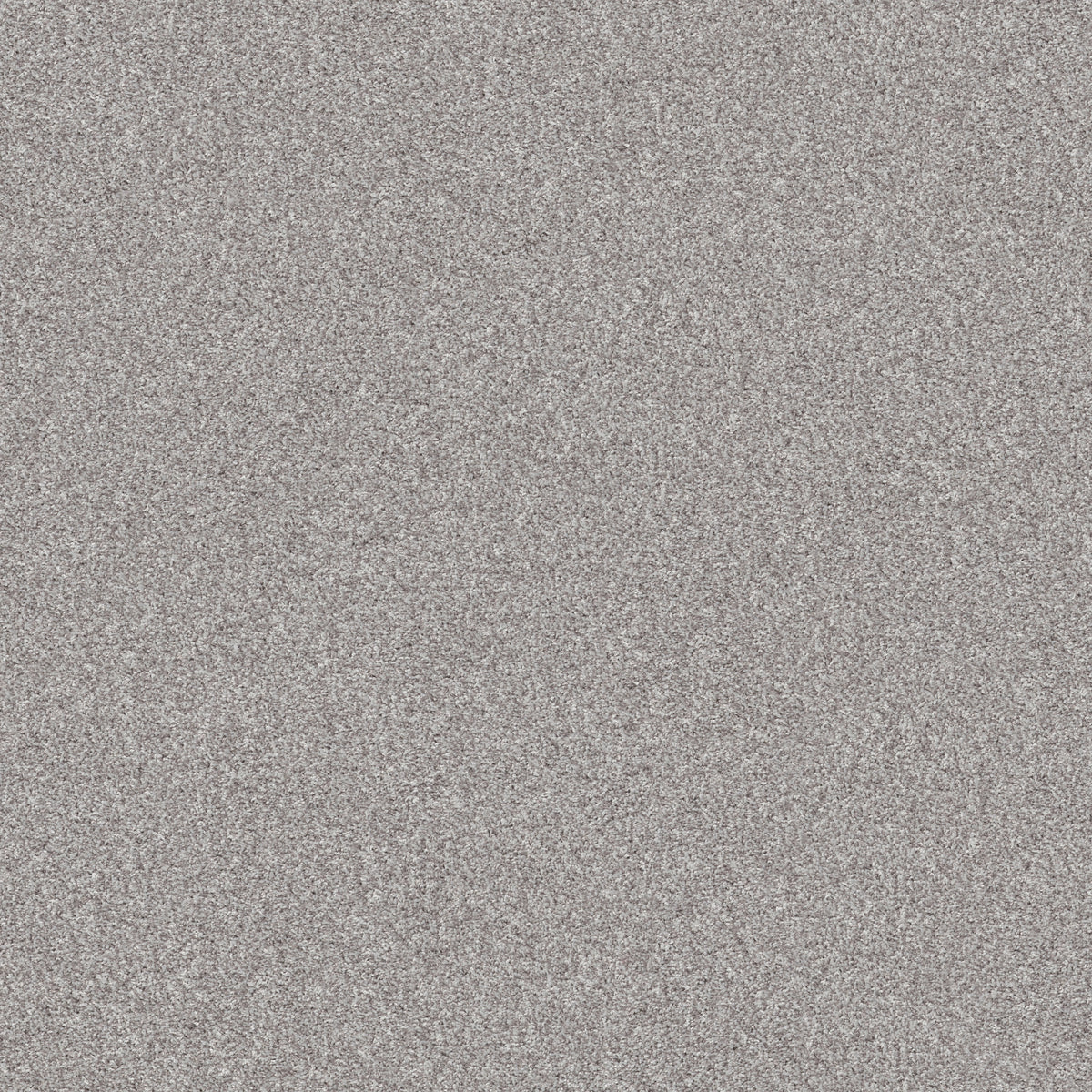 Inlet Shore II 15' - Sheer White