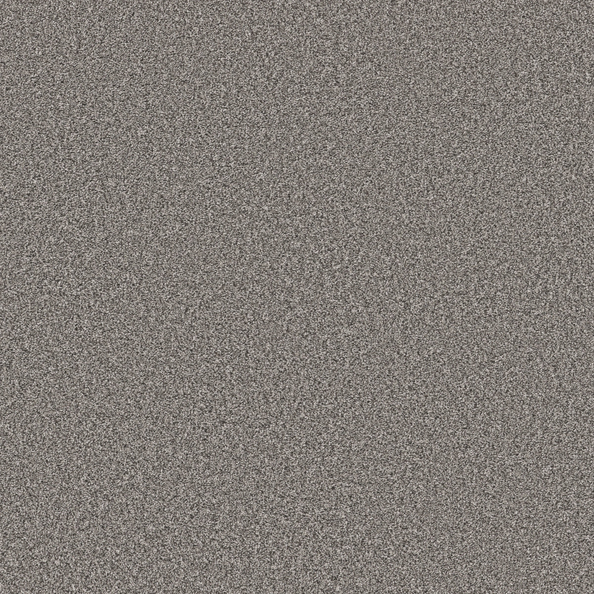 Soft Radiance - London Fog