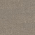 Flax