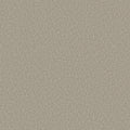 Sandstone