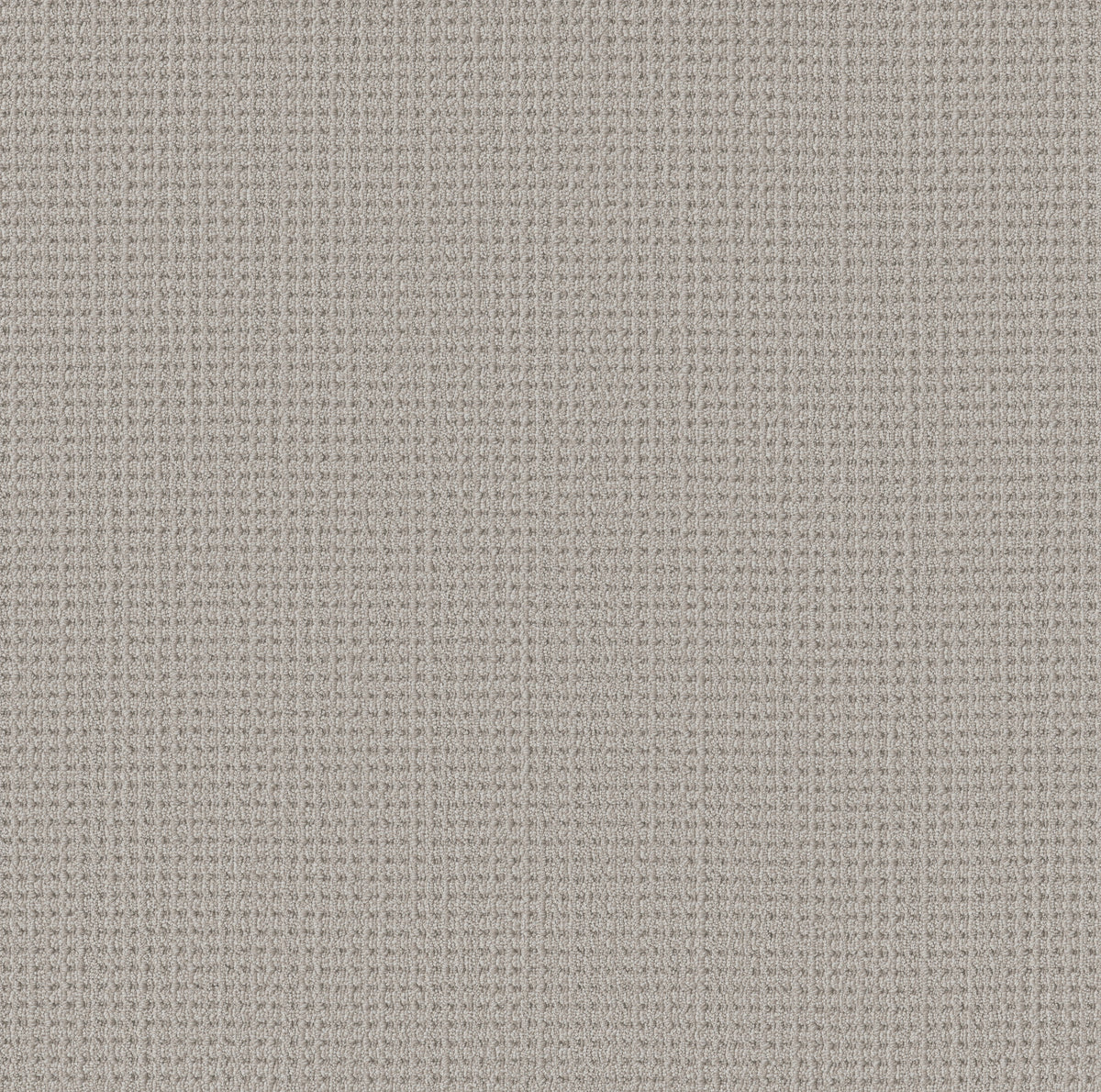 Finely Detailed - Twilight