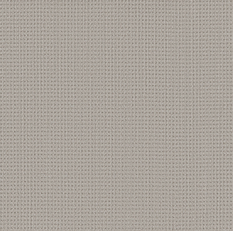 Finely Detailed - Twilight