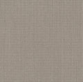 Warm Taupe