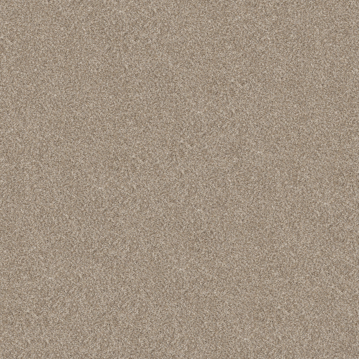 Elevated I - Soft Sand