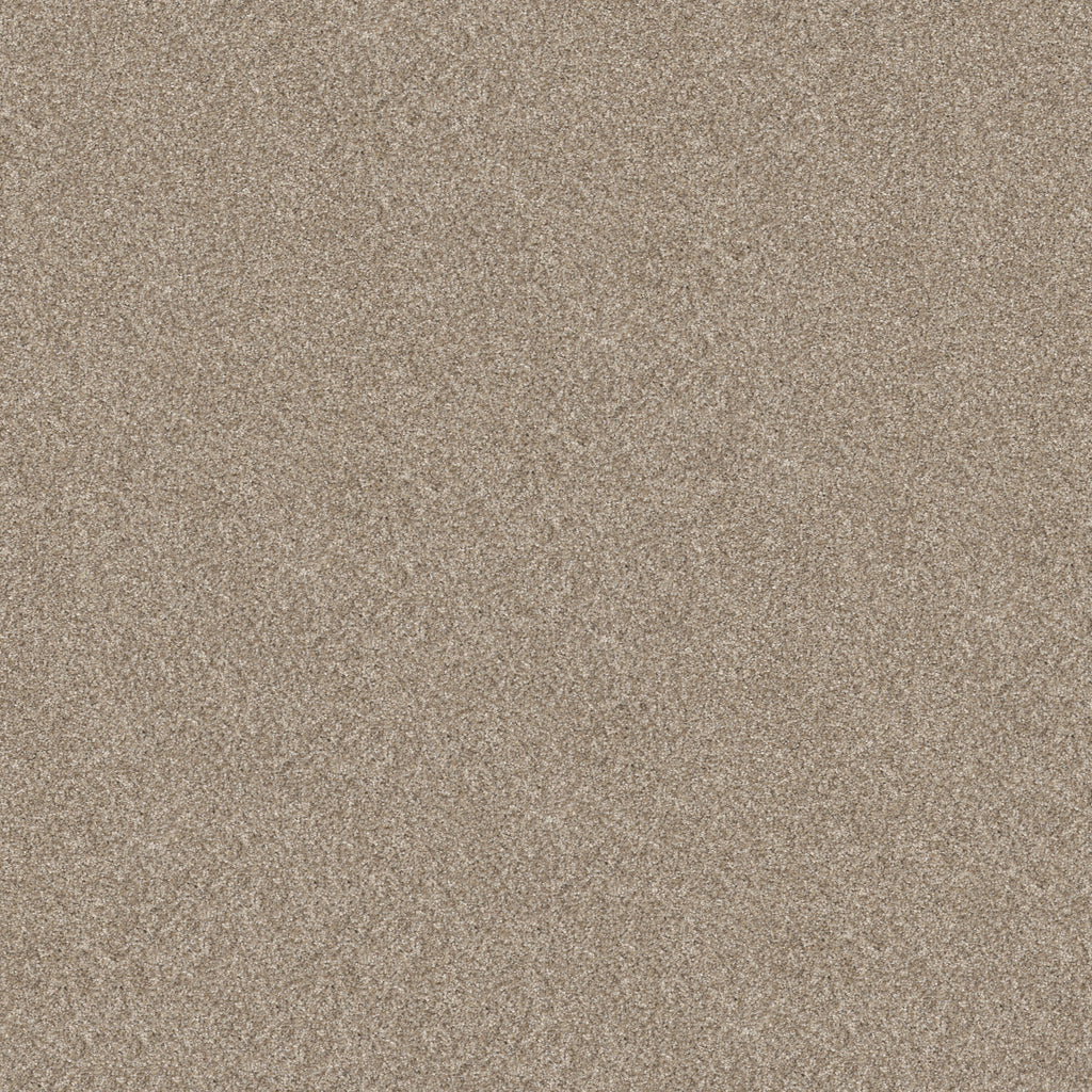Elevated II - Soft Sand