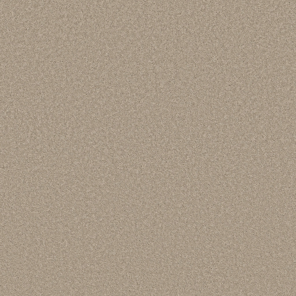 Velvet Touch I - Chic Greige