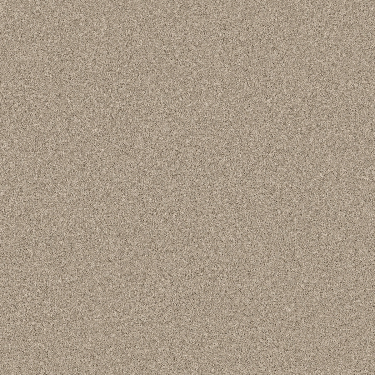 Velvet Touch I - Chic Greige